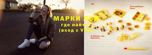 стафф Алзамай